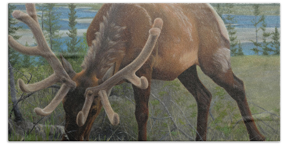 Elk Hand Towel featuring the painting Spring Gazing by Tammy Taylor