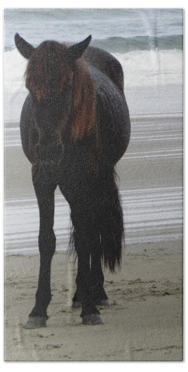 Stallion Bath Towel featuring the photograph Stallion waiting for his Mare and Foal by Kim Galluzzo