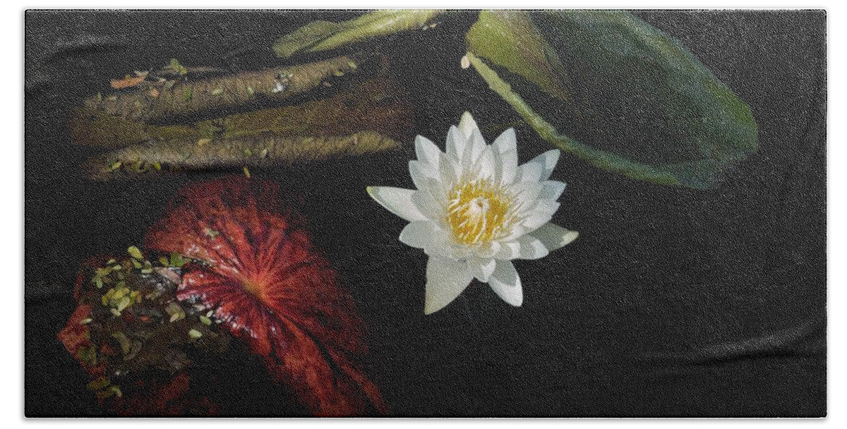 Brazillian Water Lilly Hand Towel featuring the photograph Still Life by Joseph Yarbrough