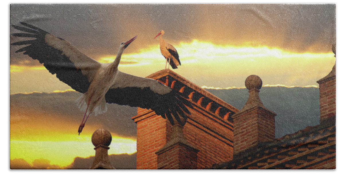 Stork Photographs Hand Towel featuring the photograph Storks at Sunset by Harry Spitz