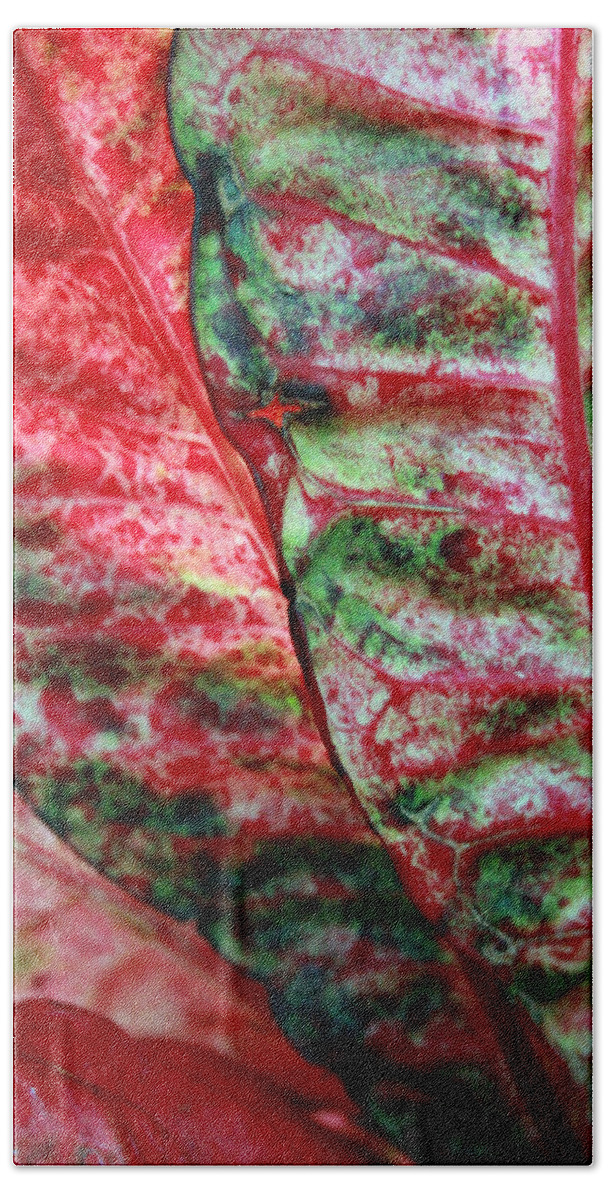 Crotons Bath Towel featuring the photograph Study of the Croton 1 by Jennifer Bright Burr