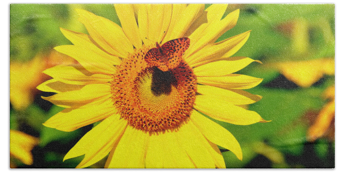 Sunflower Bath Towel featuring the photograph Sunflower and Butterfly by Debbi Granruth