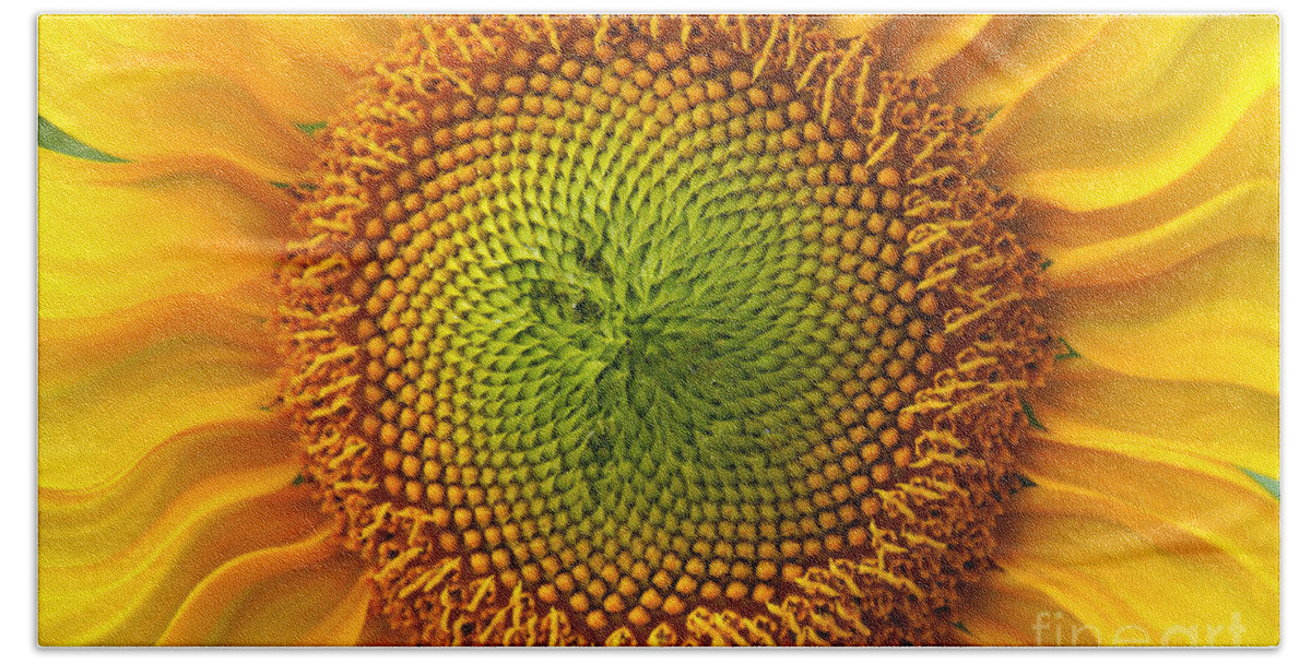 Sunflower Bath Towel featuring the photograph Sunflower Fantasy by Benanne Stiens