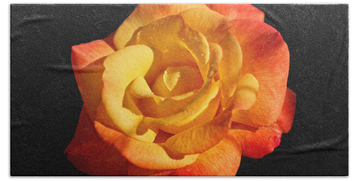 Rose Bath Towel featuring the photograph Sunlight and Shadows by Sandy Keeton