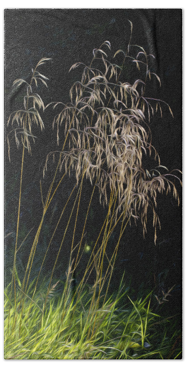 Clare Bambers Hand Towel featuring the photograph Sunlit Grasses. by Clare Bambers