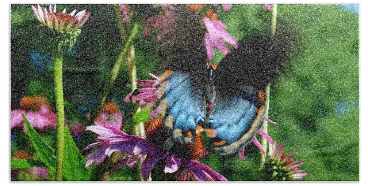 Color Photography Bath Towel featuring the photograph Swallowtail In Motion by Sue Stefanowicz