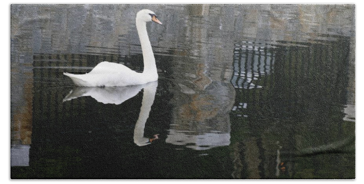 Swan Bath Sheet featuring the photograph Swan and Reflection by James Harris