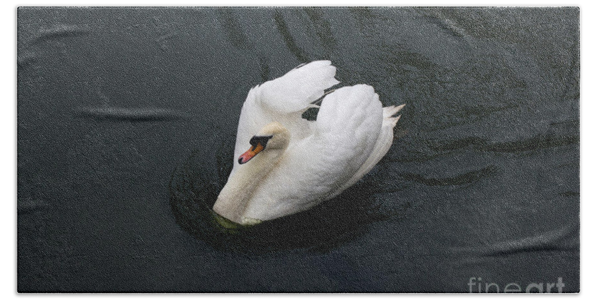 White Bath Towel featuring the photograph Swan on black water by Les Palenik