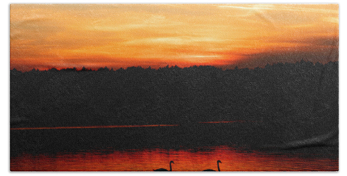 Swan Bath Towel featuring the photograph Swans in the sunset by Ivan Slosar