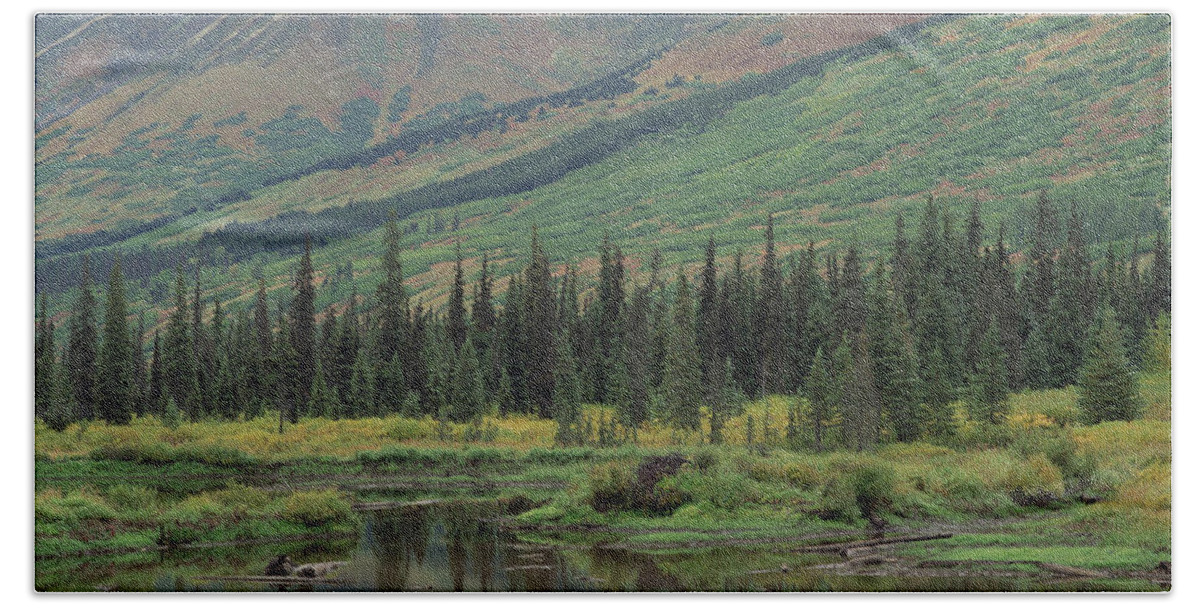 Mp Bath Towel featuring the photograph Taiga Vegetation And Beaver Pond by Gerry Ellis