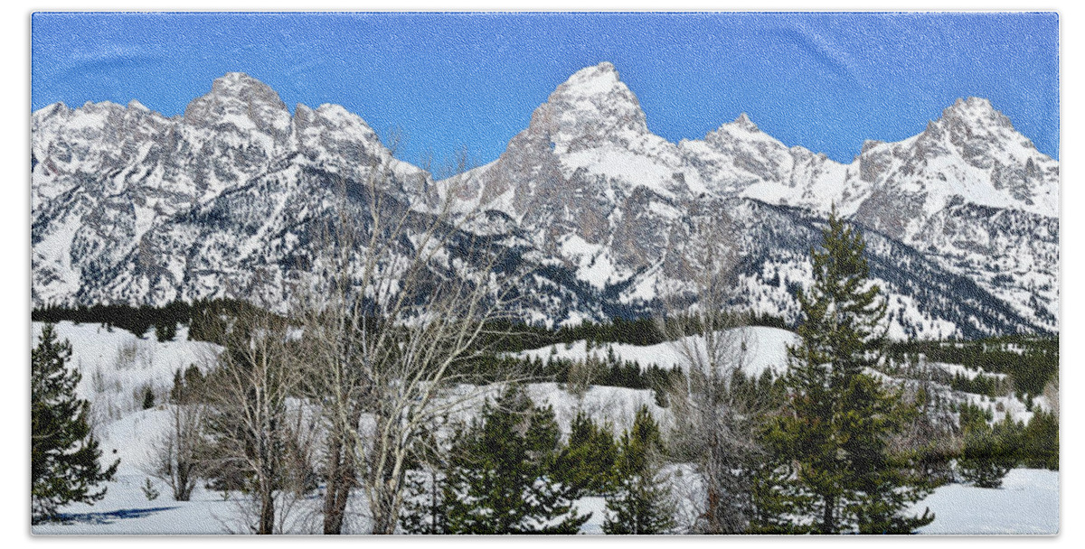 Grand Teton National Park Hand Towel featuring the photograph Teton Winter Landscape by Greg Norrell