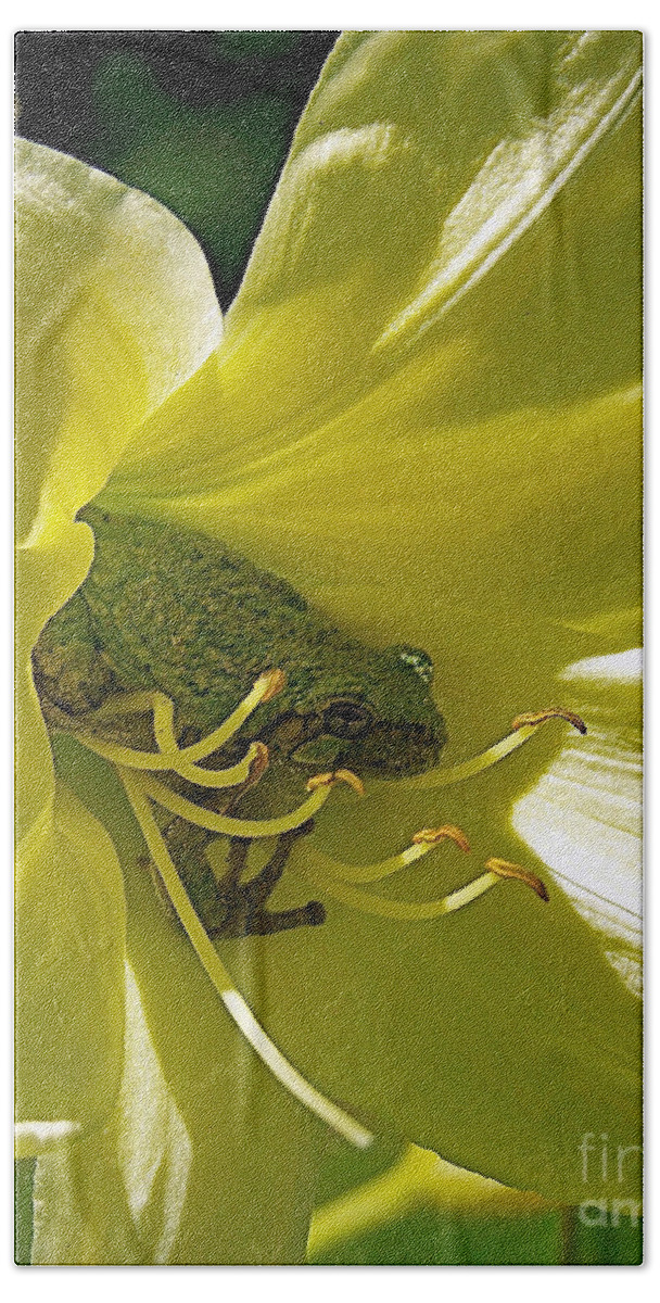 Color Photography Hand Towel featuring the photograph The Day Lily Met Her Prince by Sue Stefanowicz