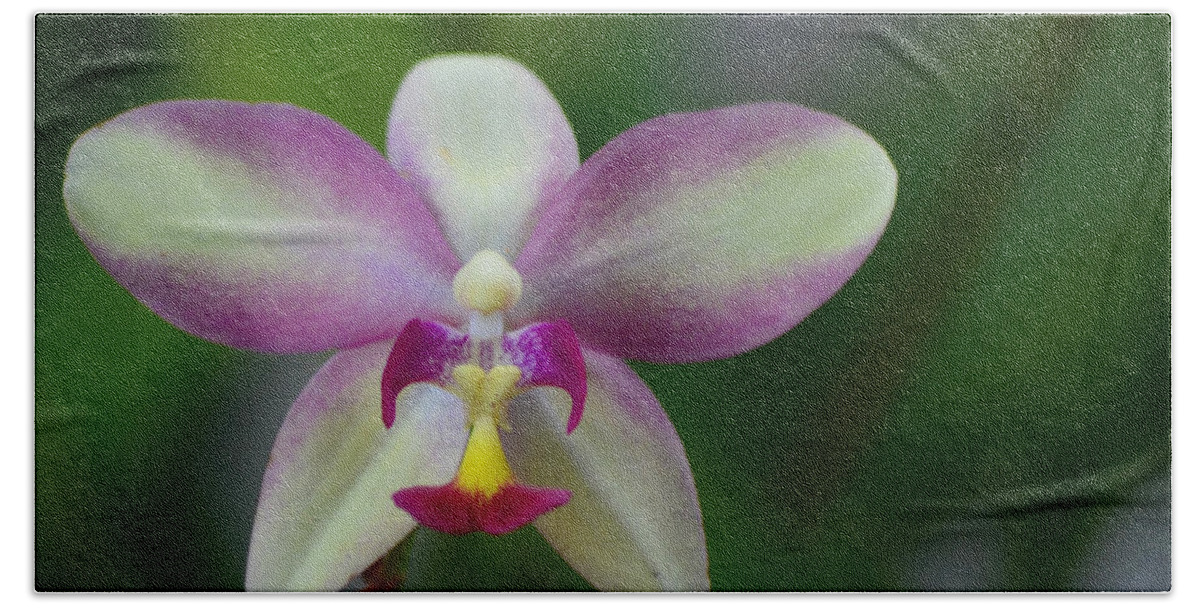 Orchid Bath Towel featuring the photograph The Edison Orchid by Melanie Moraga
