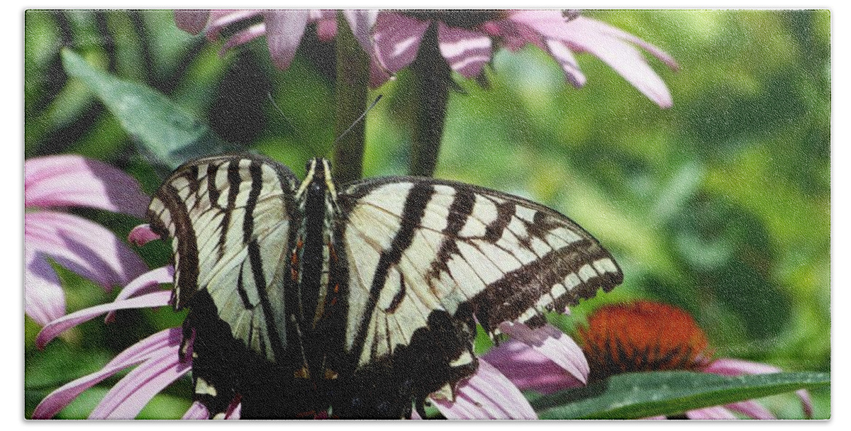Butterflies Hand Towel featuring the photograph The Survivor by Dorrene BrownButterfield
