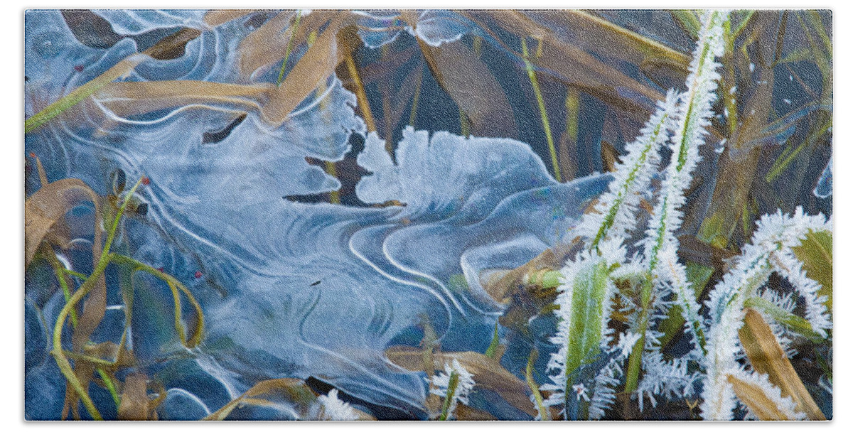 Grass Bath Towel featuring the photograph Thin Ice by Rob Hemphill