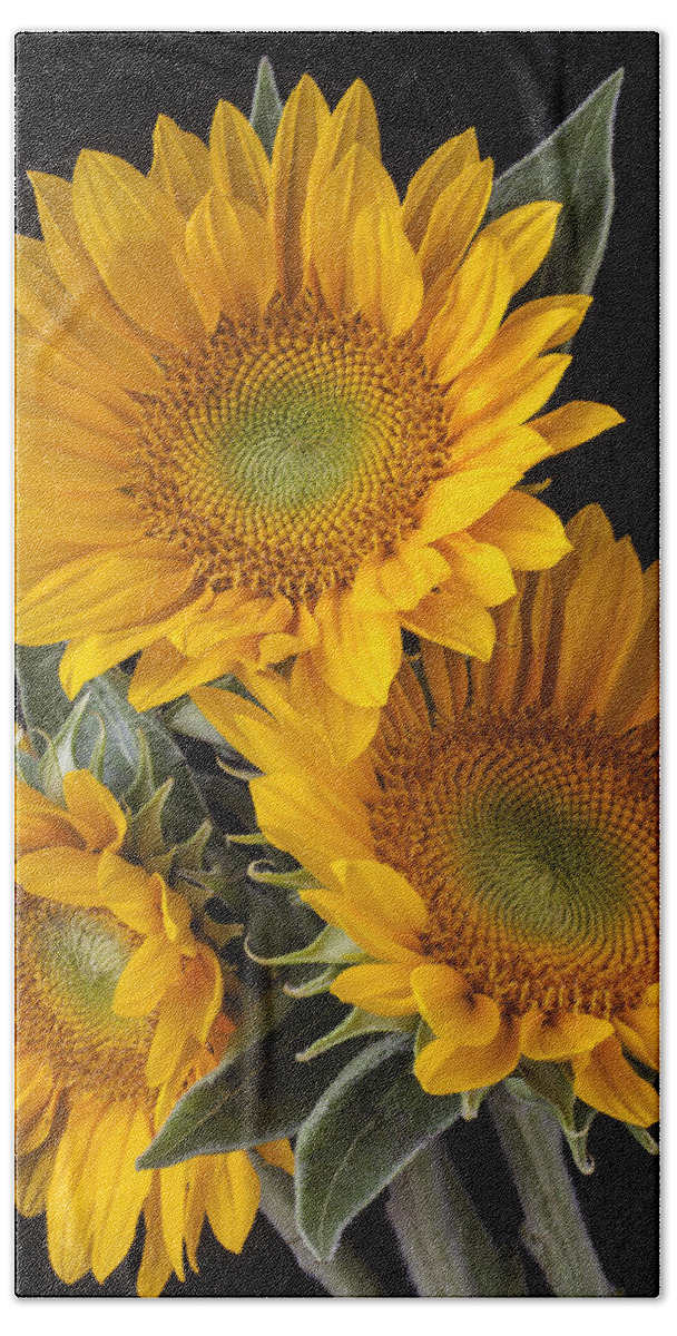 Three Sunflower Bath Towel featuring the photograph Three sunflowers by Garry Gay