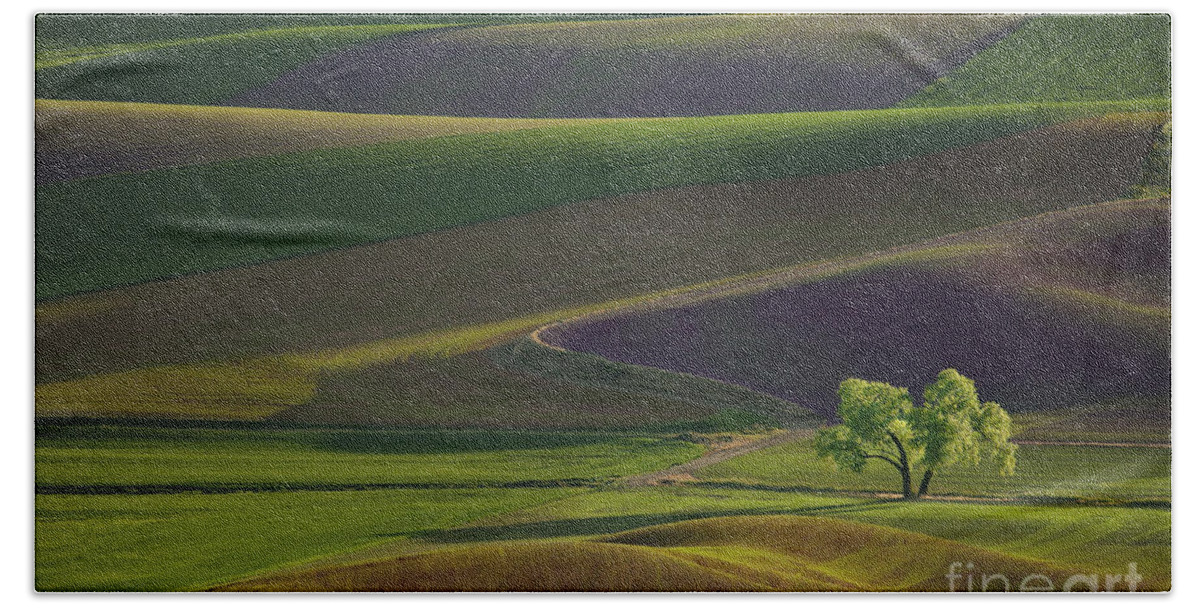 Palouse Bath Towel featuring the photograph Tree in the Palouse by Lori Grimmett