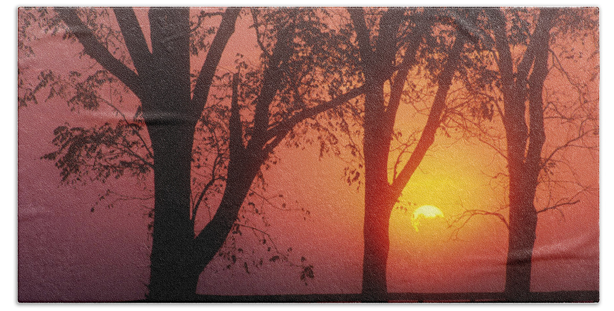 Outdoors Bath Towel featuring the photograph Trees In The Sunrise by Natural Selection Tony Sweet
