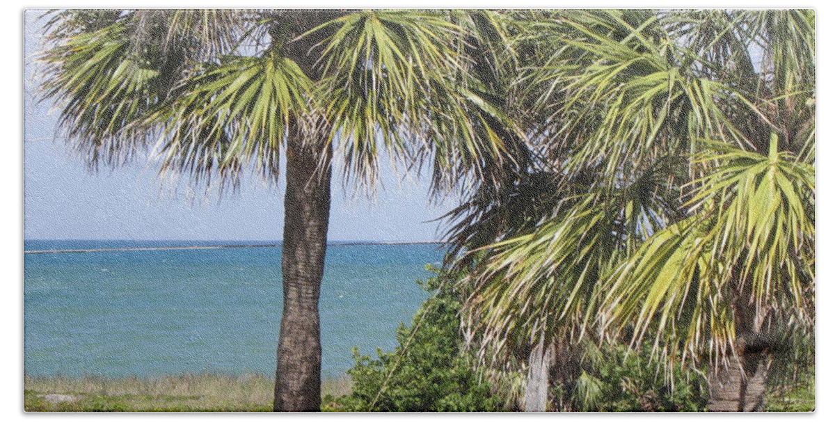 Palm Trees Bath Towel featuring the photograph Tropicals by Kim Galluzzo Wozniak