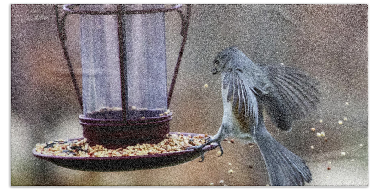 Tufted Titmouse Hand Towel featuring the photograph Tufted Seed Splash by Bill and Linda Tiepelman