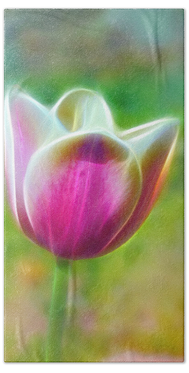 Tulip Hand Towel featuring the photograph Tulip Exaltation by Bill and Linda Tiepelman