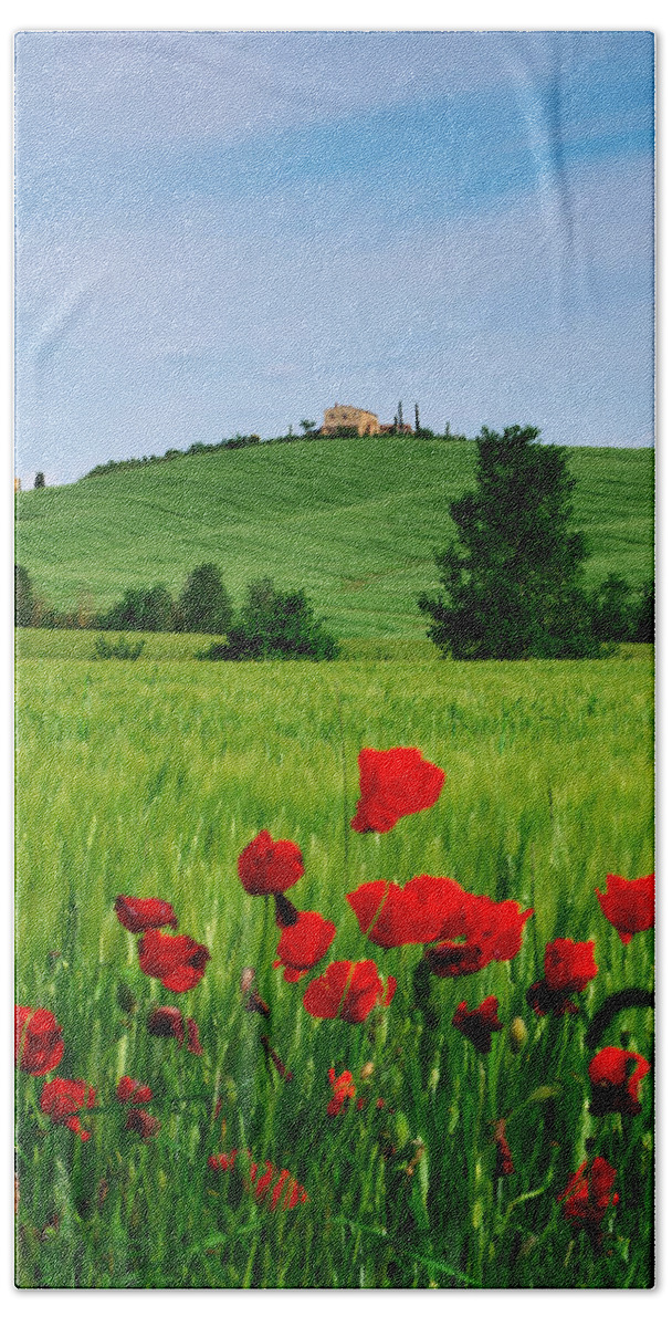 Tuscany Hand Towel featuring the photograph Tuscany by Ivan Slosar