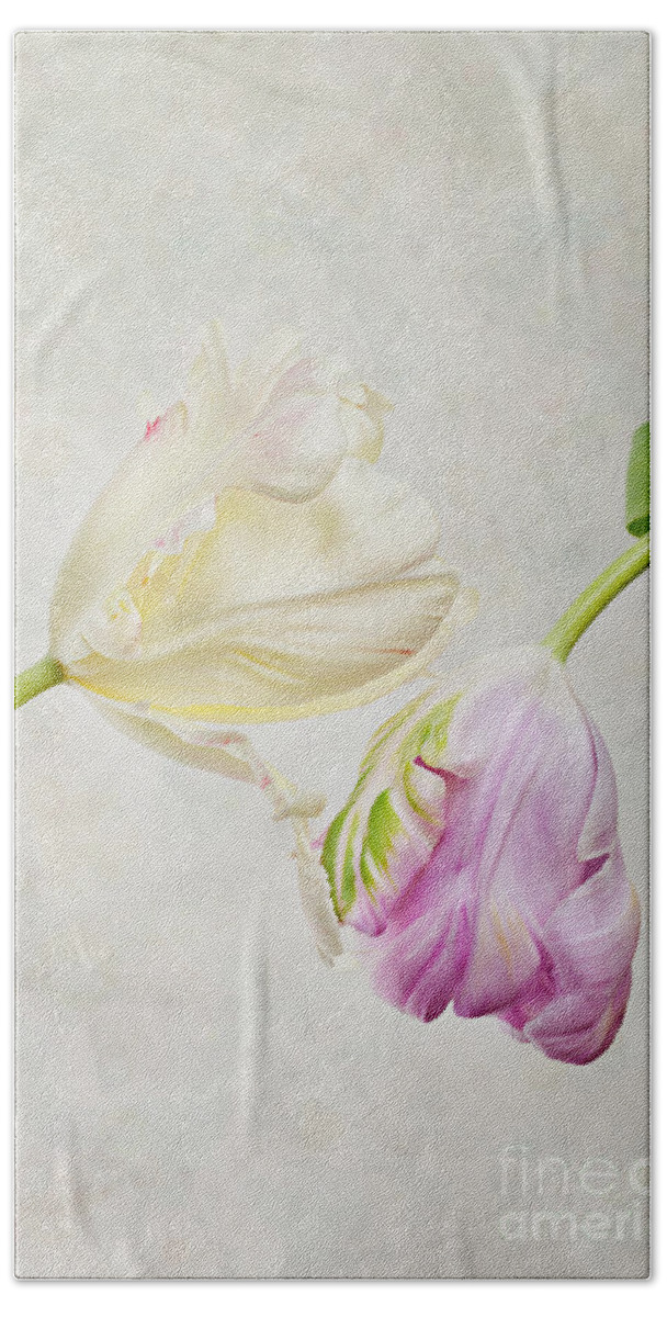 Tulip Bath Sheet featuring the photograph Two Tulips by Nailia Schwarz