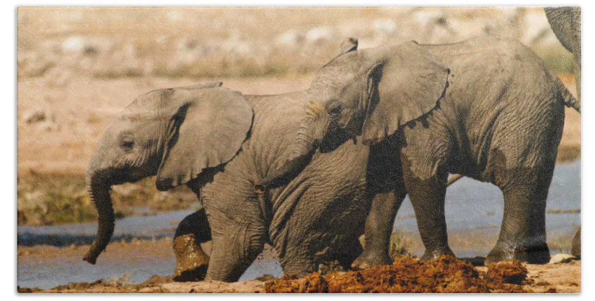 A Baby Elephants Play Bath Towel featuring the photograph Two up by Alistair Lyne