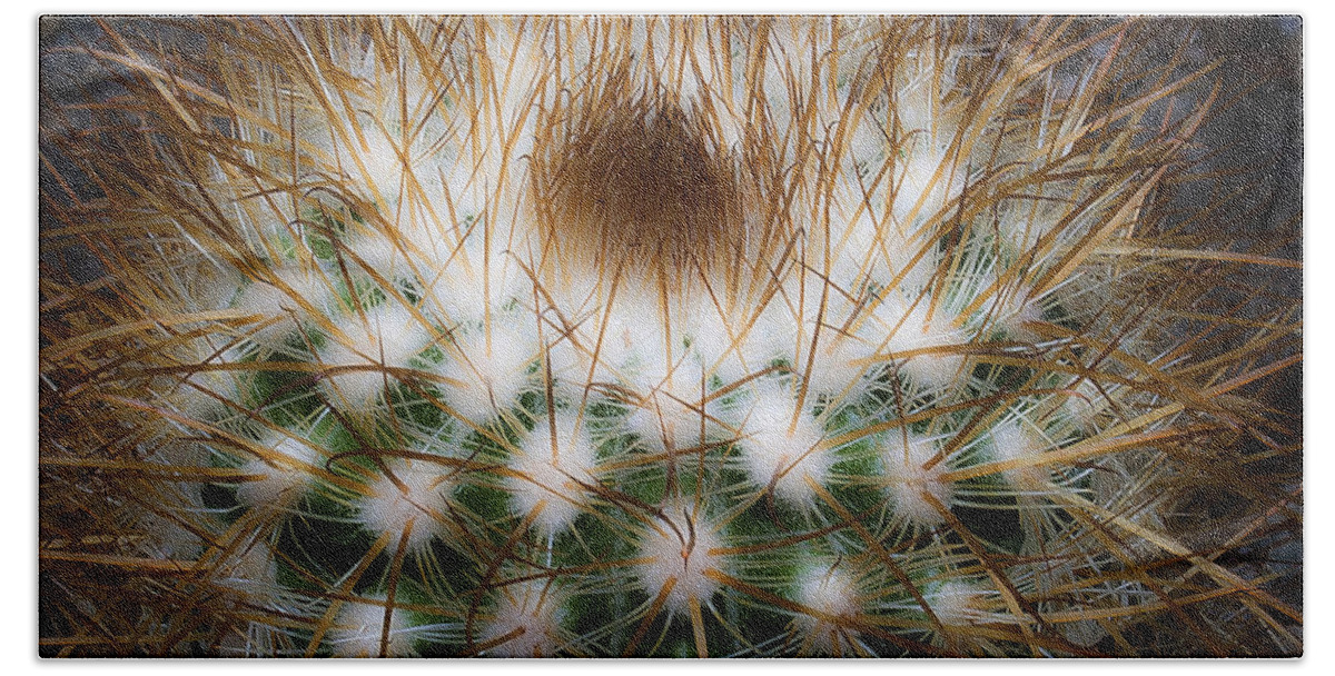 Cactus Bath Towel featuring the photograph Untitled 3 by Lee Santa