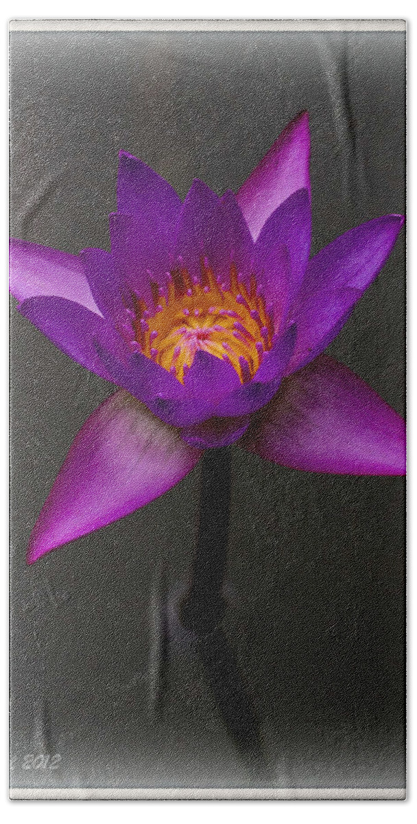 Water Hand Towel featuring the photograph Water Lily by Farol Tomson