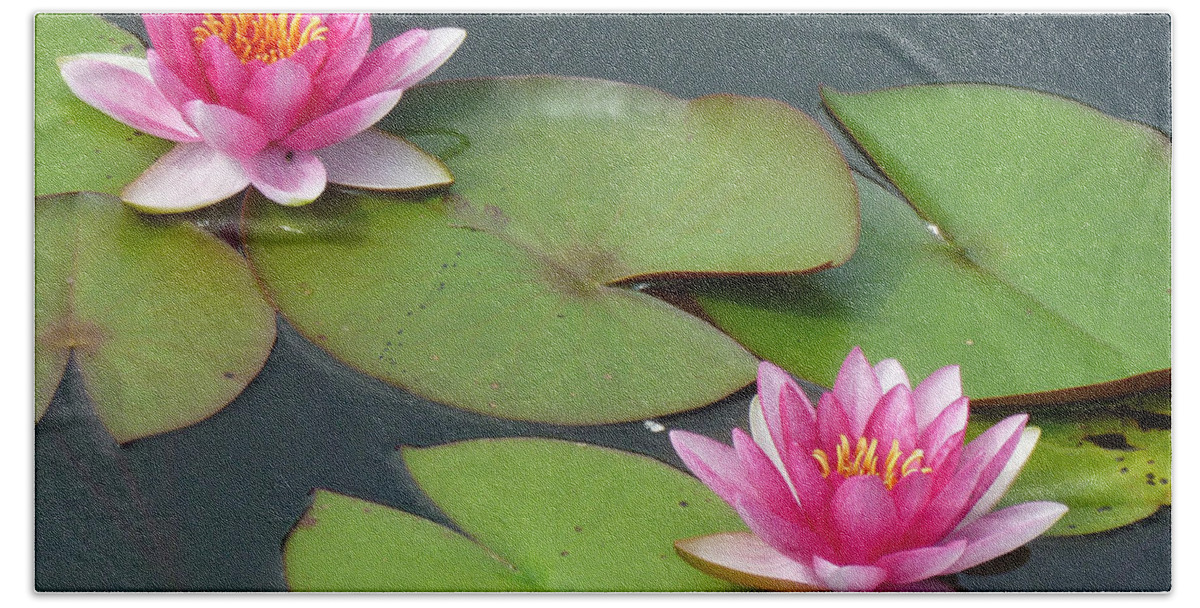 Water Hand Towel featuring the photograph Waterlillies by Tim Nyberg