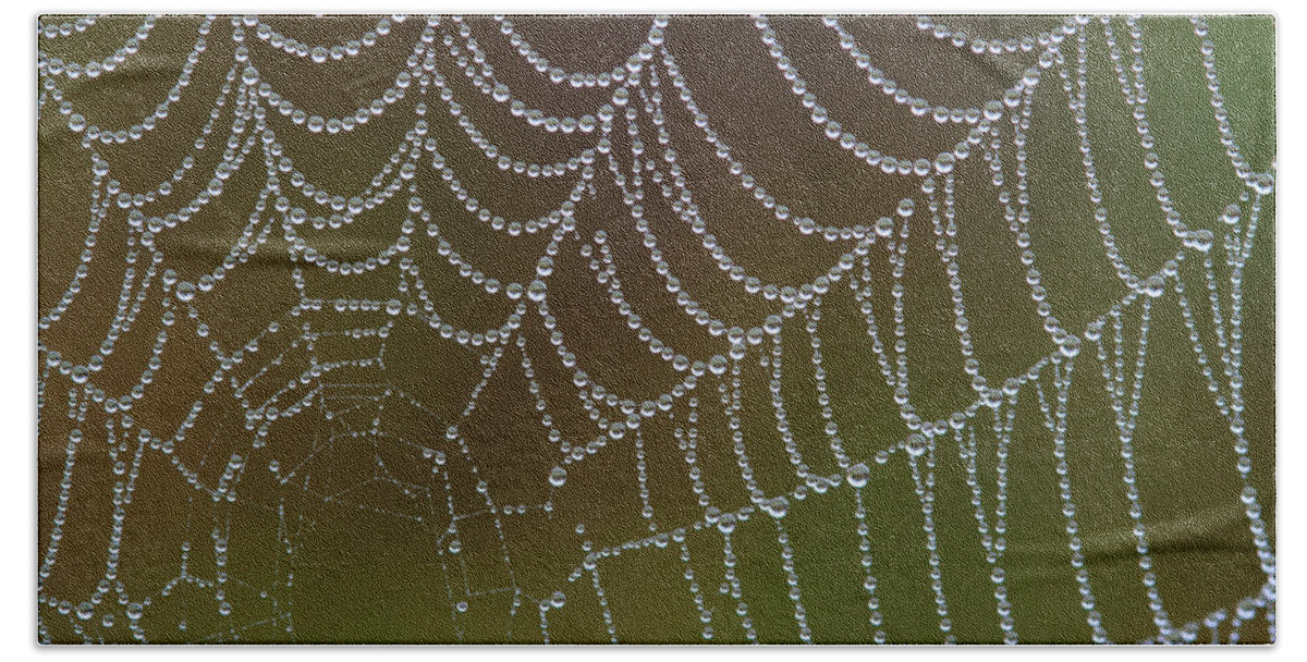  Bath Towel featuring the photograph Web With Dew by Daniel Reed
