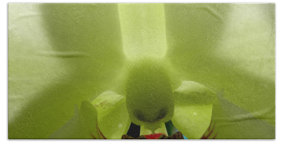 Orchid Bath Towel featuring the photograph What Do You See by Kim Galluzzo Wozniak
