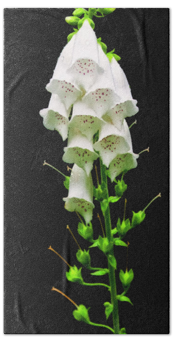 Wildflowers Bath Towel featuring the photograph White Foxglove by Albert Seger