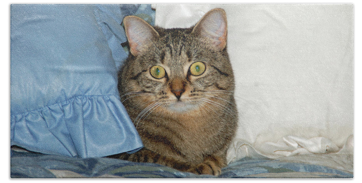 Cat Bath Towel featuring the photograph Wide eyed by Aimee L Maher ALM GALLERY