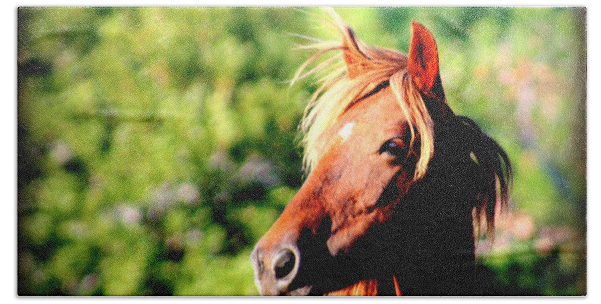 Wild Spanish Mustang Bath Towel featuring the photograph Wild and Free in North Carolina by Kim Galluzzo