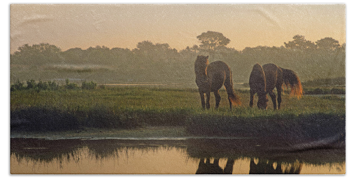 00176991 Bath Towel featuring the photograph Wild Horse Pair Grazing At Assateague by Tim Fitzharris