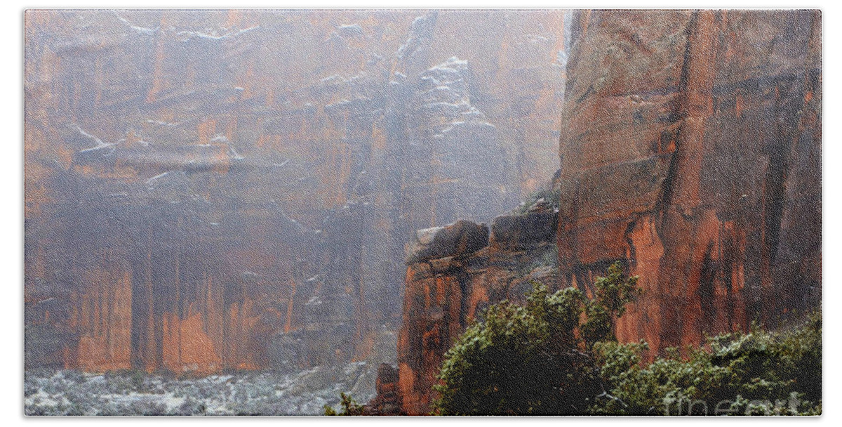 Beauty Bath Towel featuring the photograph Winter Beauty In Zion by Bob Christopher