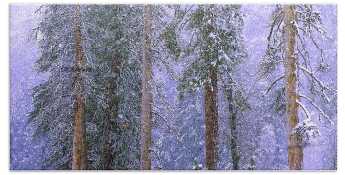00176703 Hand Towel featuring the photograph Winter In Yosemite National Park by Tim Fitzharris
