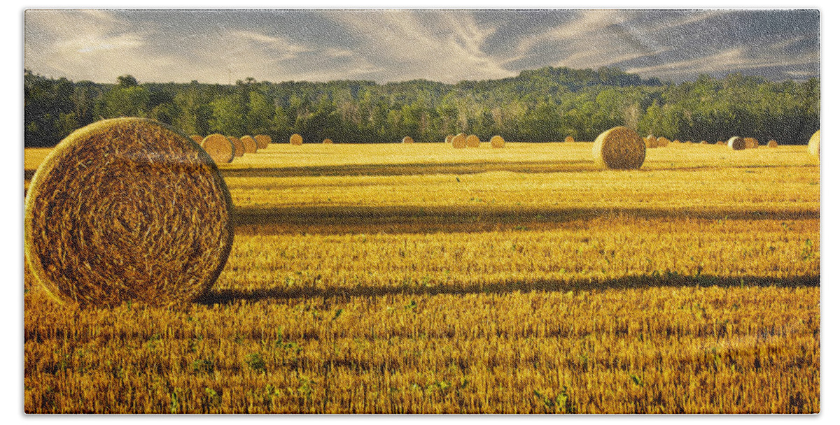 Agriculture Hand Towel featuring the photograph Wisconsin Summer by Jarrod Erbe