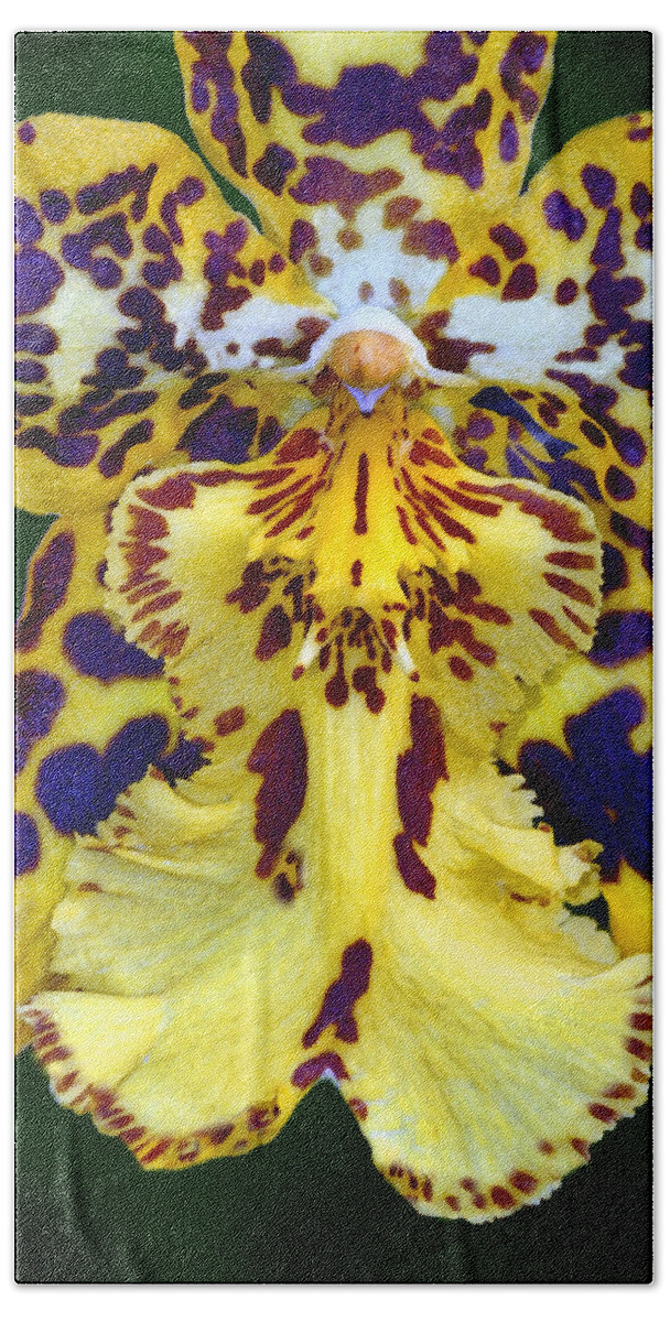 Orchid Bath Sheet featuring the photograph Yellow Orchid by Dave Mills