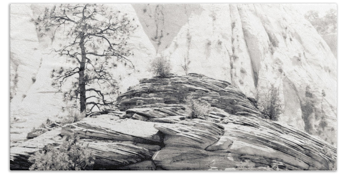 Zion Bath Towel featuring the photograph Zion Tree by Julie Niemela
