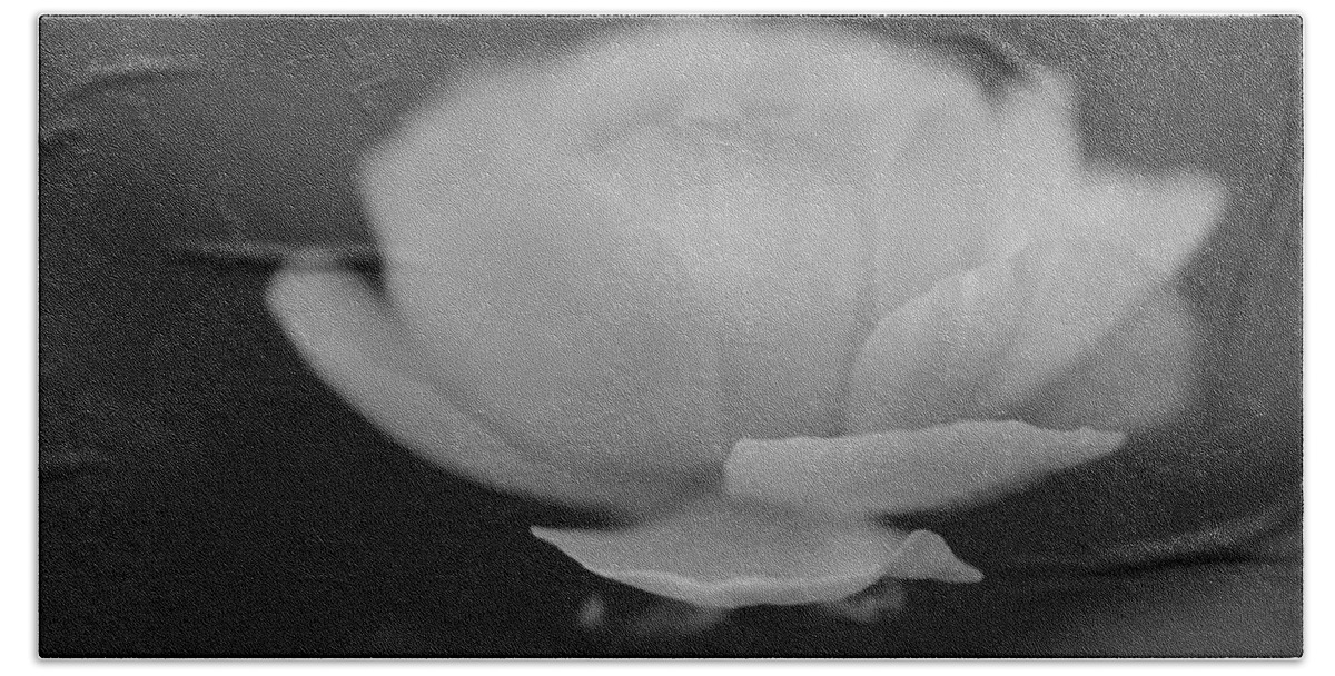 Floating Flower- Peaceful- Calming Image- Art Of Rae Ann M. Garrett- Black And White Art- Lotus - Rununculus Bath Towel featuring the photograph In Stillness by Rae Ann M Garrett