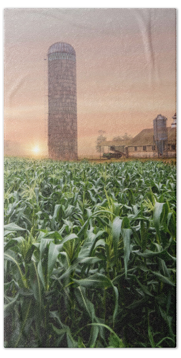 Farm Hand Towel featuring the photograph All Ears #1 by Robin-Lee Vieira