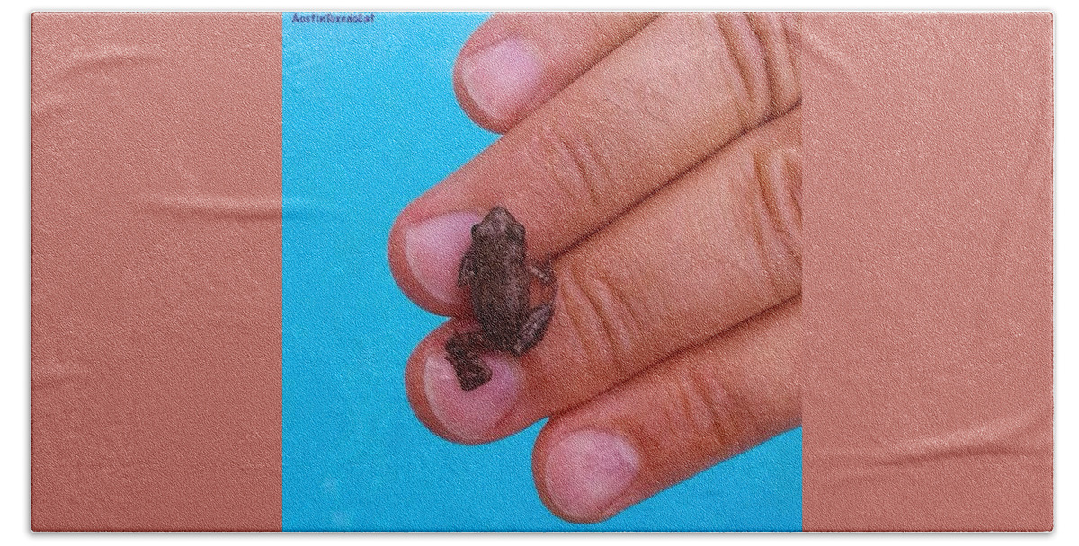 Cute Bath Towel featuring the photograph Anyone Missing A #cute #baby #frog? We #1 by Austin Tuxedo Cat