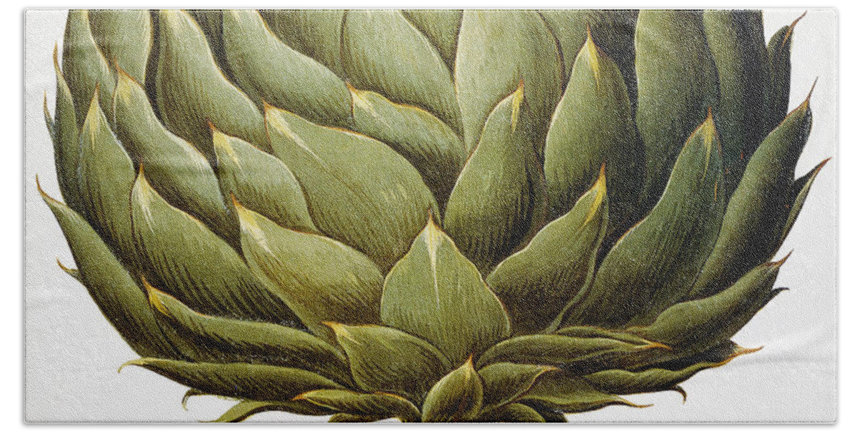 1613 Bath Towel featuring the drawing Artichoke, 1613 #1 by Granger