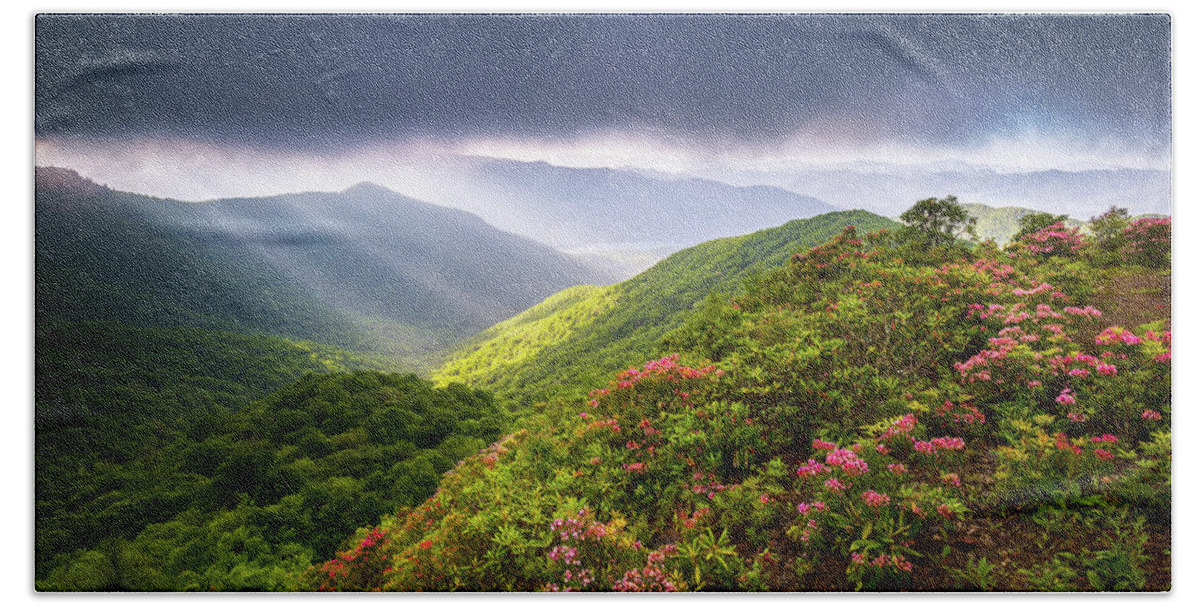 North Carolina Hand Towel featuring the photograph Asheville NC Blue Ridge Parkway Spring Flowers North Carolina #1 by Dave Allen