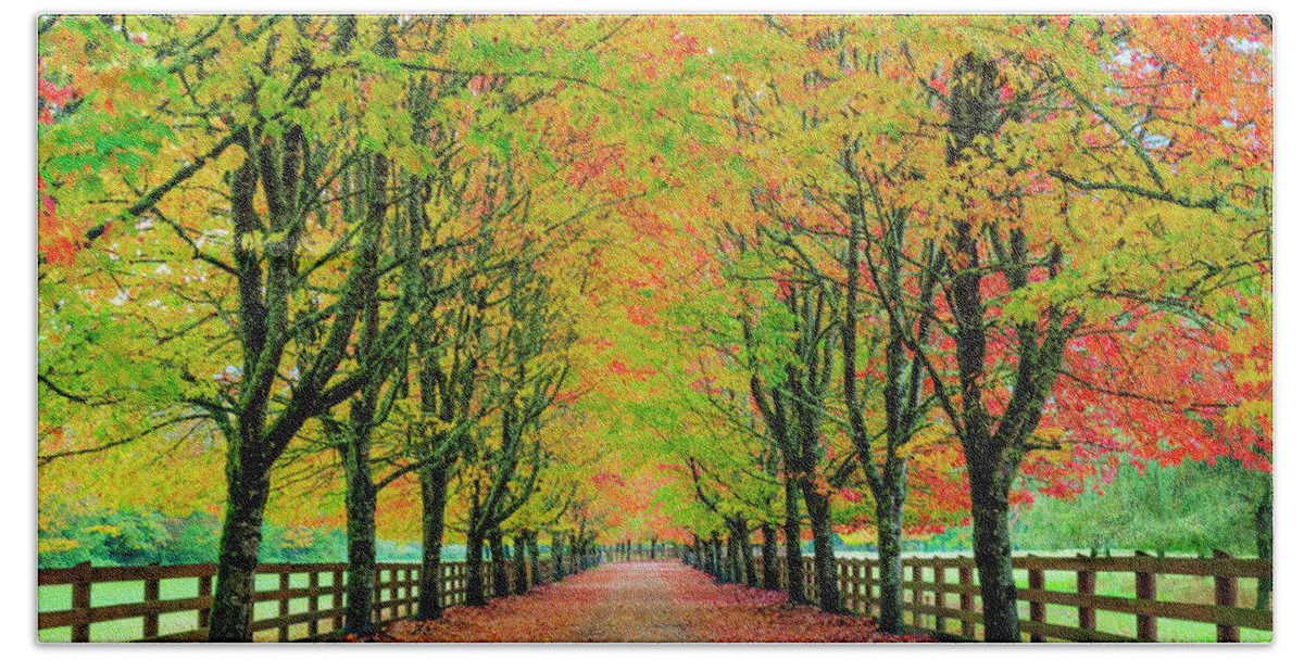 Autumn Hand Towel featuring the photograph Autumn Drive by Kristine Anderson