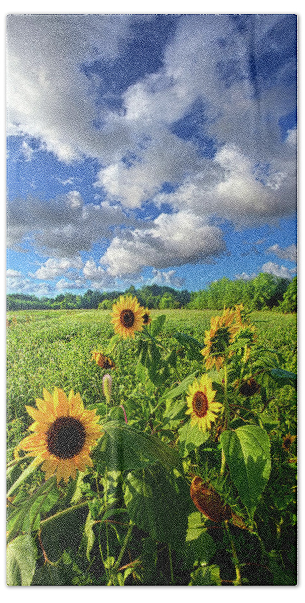 Sunflowers Hand Towel featuring the photograph Autumn is Near #1 by Phil Koch