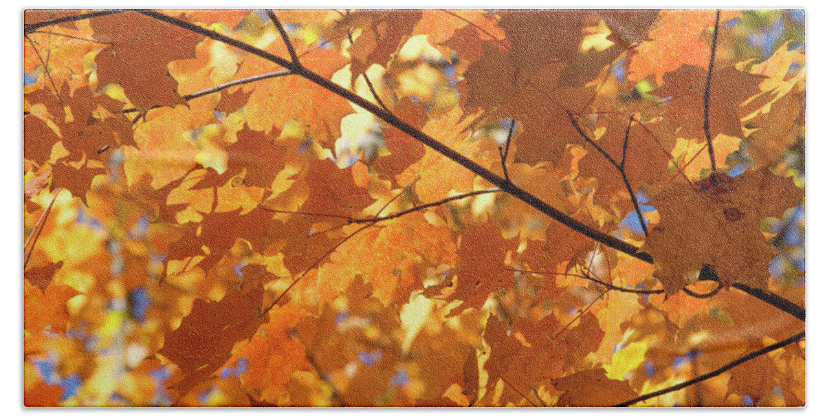 Leaves Hand Towel featuring the photograph Autumn Leaves #1 by David Stasiak